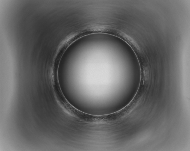 X0000113090682200908281244