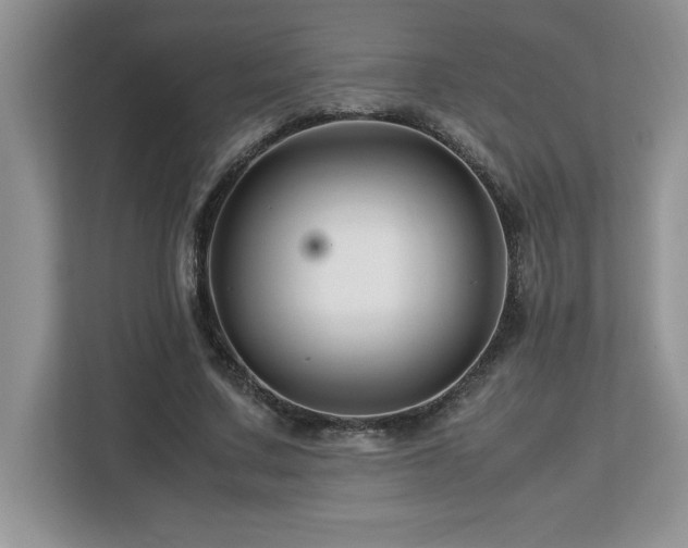 X0000113090683200908281244