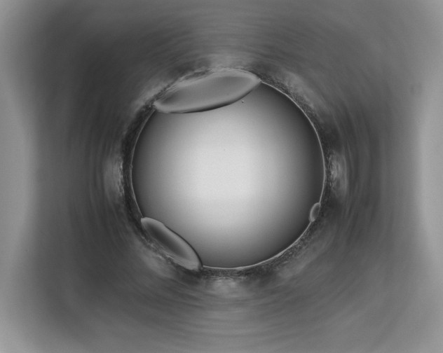 X0000113090684200908281244