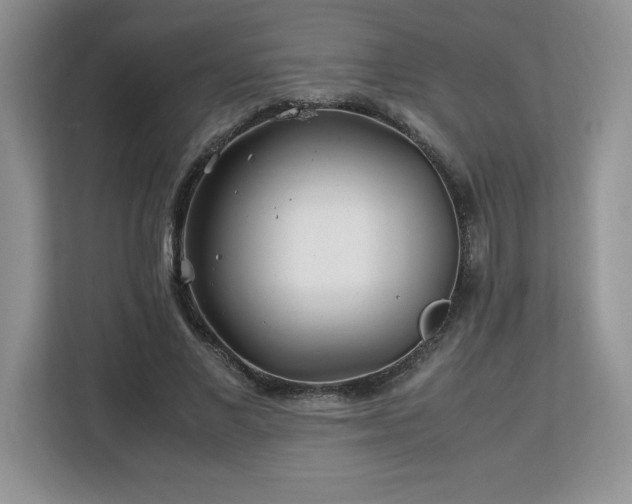 X0000113090685200908281244