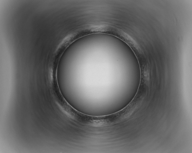 X0000113090686200908281244