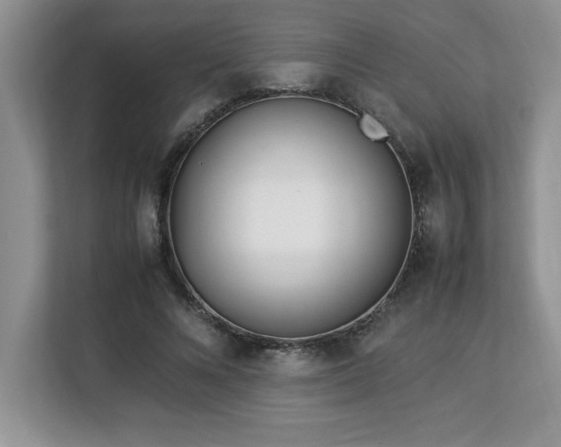 X0000113090688200908281244