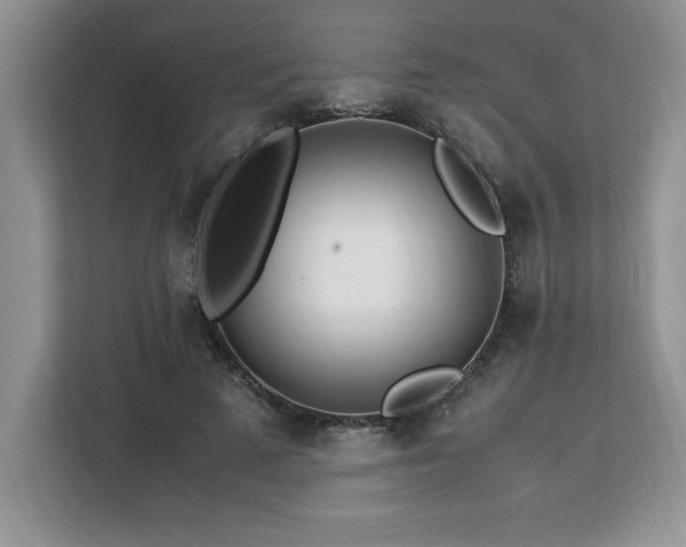 X0000113090689200908281244