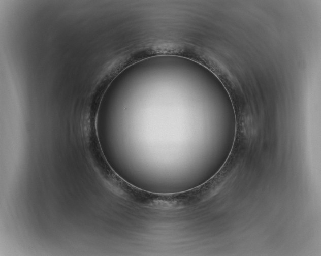 X0000113090690200908281244