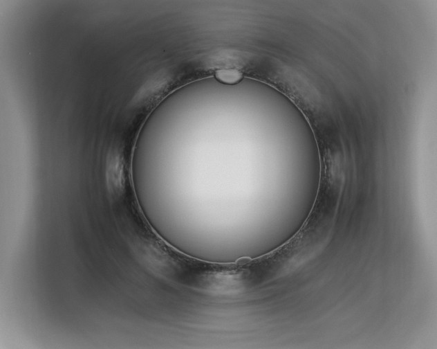 X0000113090692200908281244