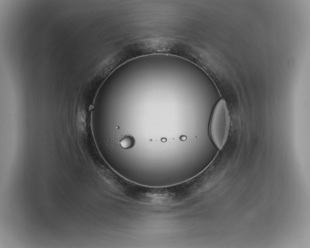 X0000113090693200908281244