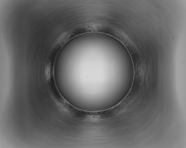 X0000113090694200908281244