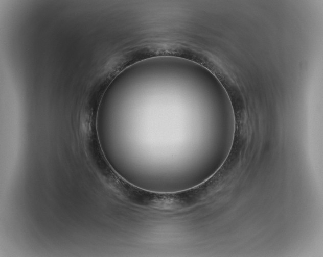 X0000113090695200908281244