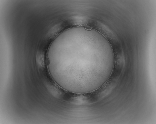 X0000113090696200908281243