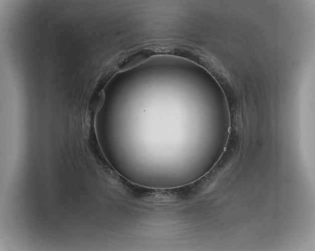 X0000113090697200908281243