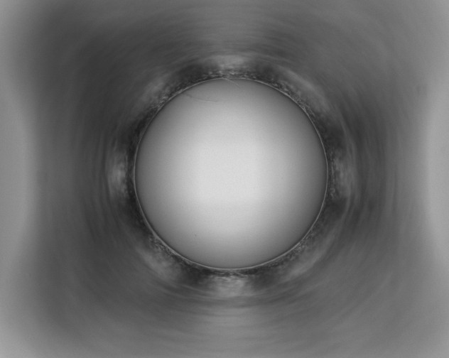 X0000113090698200908281243