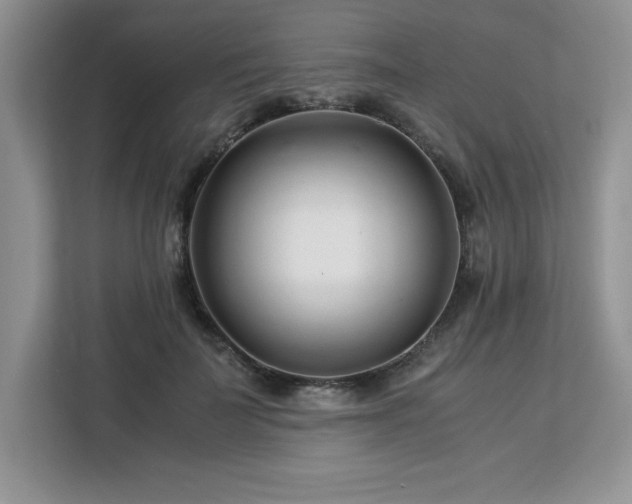 X0000113090699200908281243