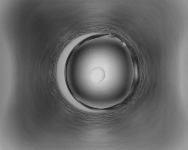X0000113090701200908281243