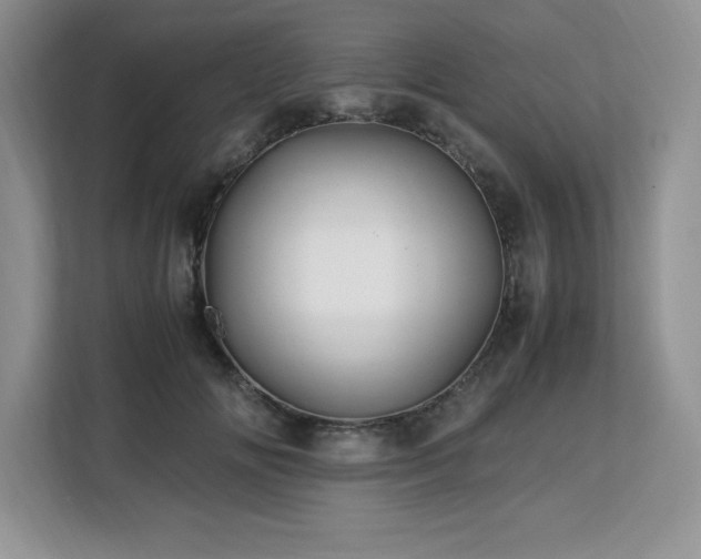 X0000113090702200908281243