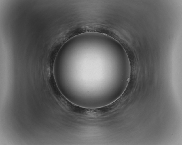 X0000113090703200908281243