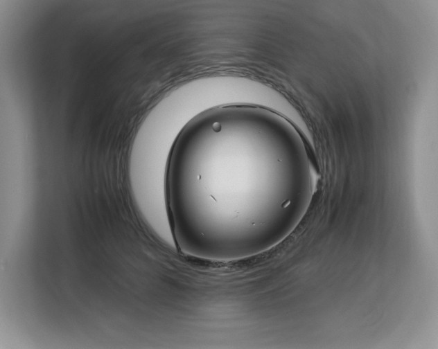 X0000113090704200908281243