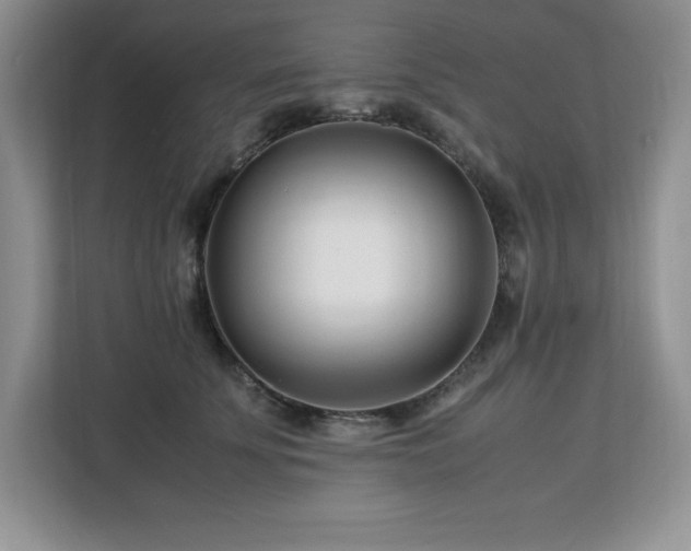 X0000113090707200908281243