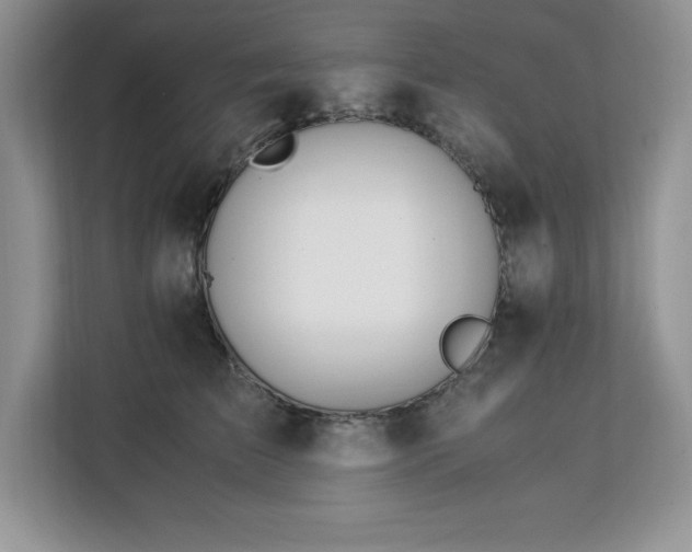 X0000113090709200908281243