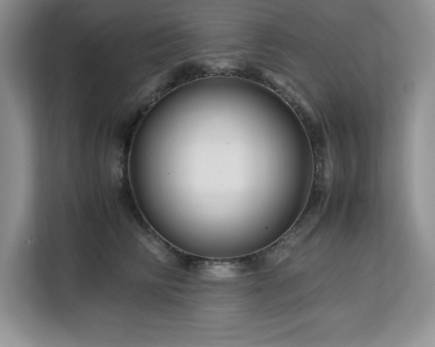 X0000113090710200908281243