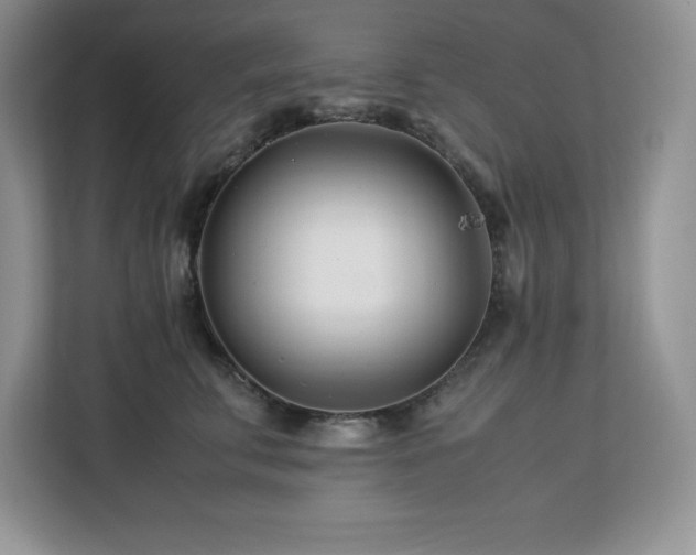 X0000113090711200908281243