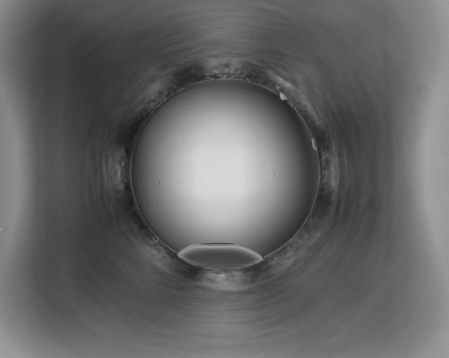 X0000113090712200908281243