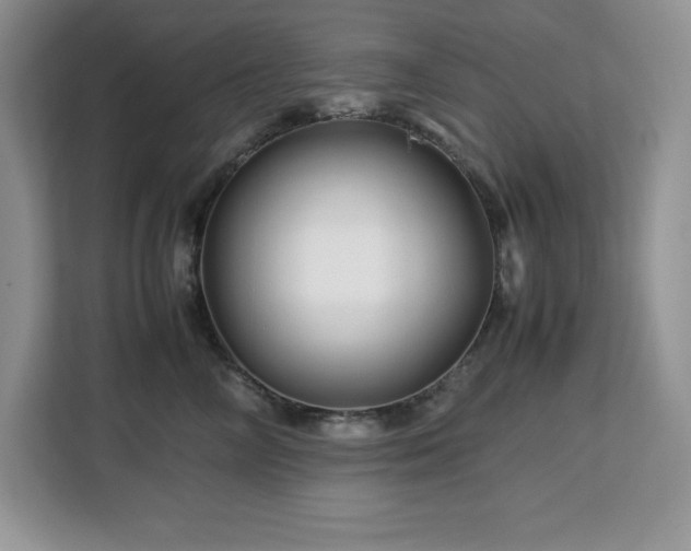 X0000113090714200908281243