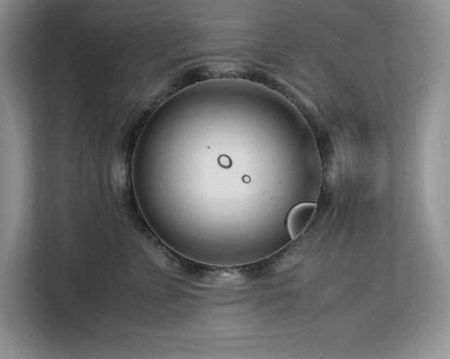 X0000113090715200908281243