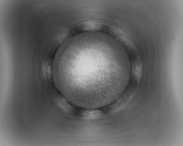 X0000113090716200908281243