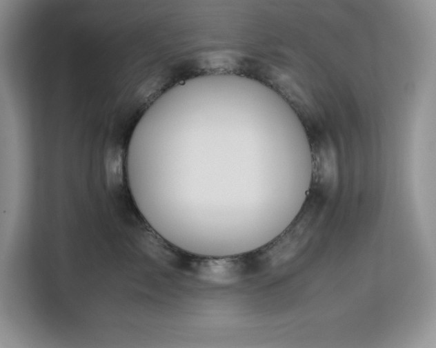 X0000113090717200908281243