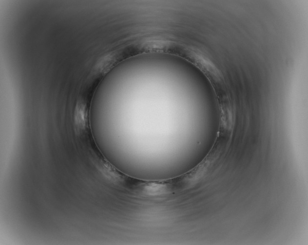 X0000113090718200908281243