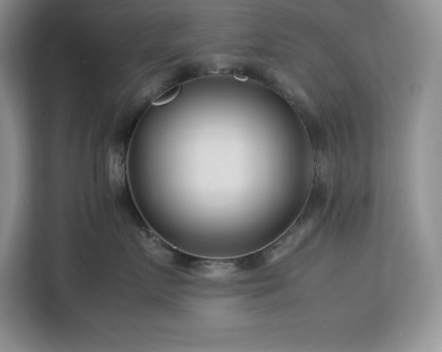 X0000113090719200908281243