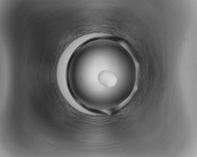 X0000113090720200908281243