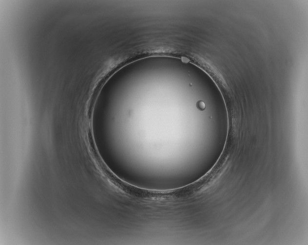 X0000113090721200908281243