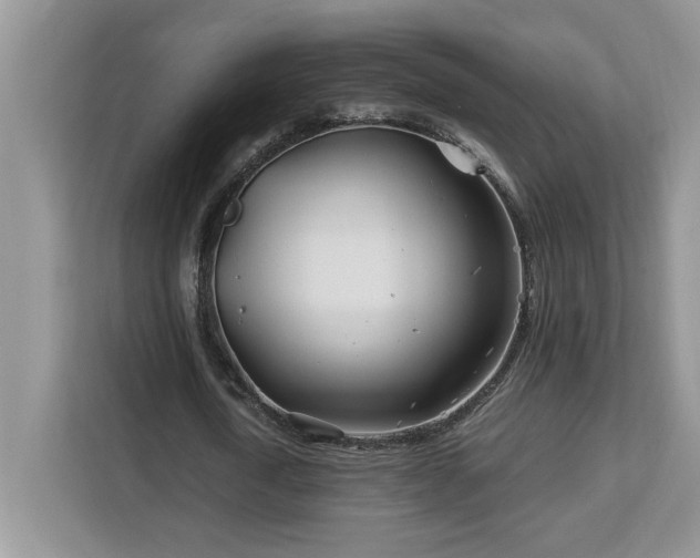 X0000113090722200908281243