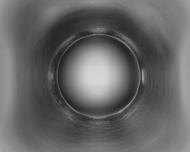 X0000113090723200908281243