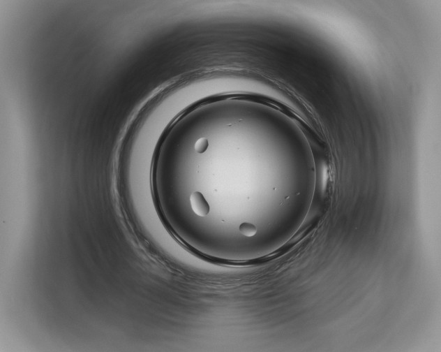 X0000113090724200908281243