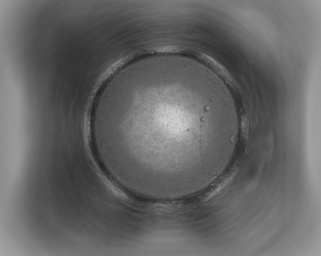 X0000113090725200908281243