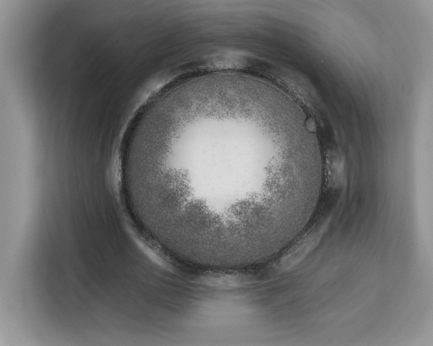 X0000113090726200908281243