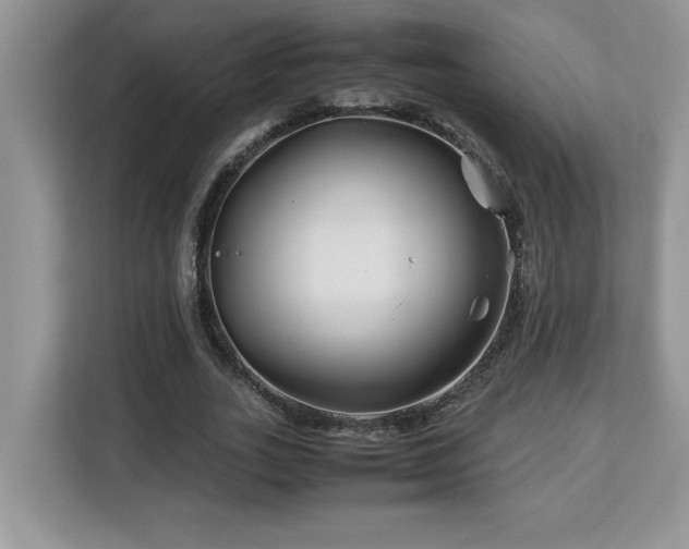 X0000113090727200908281243