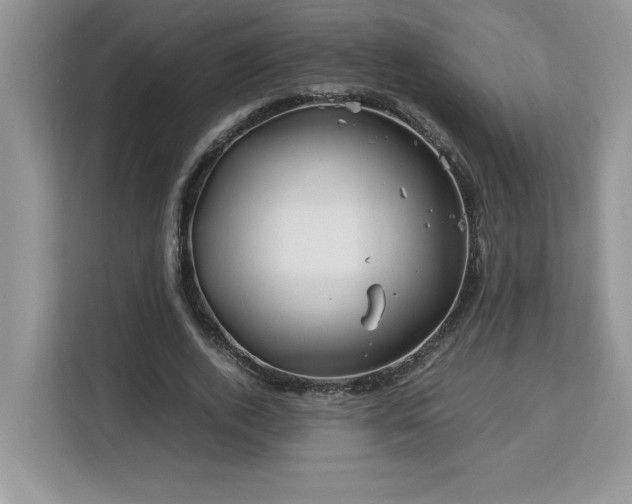X0000113090728200908281243