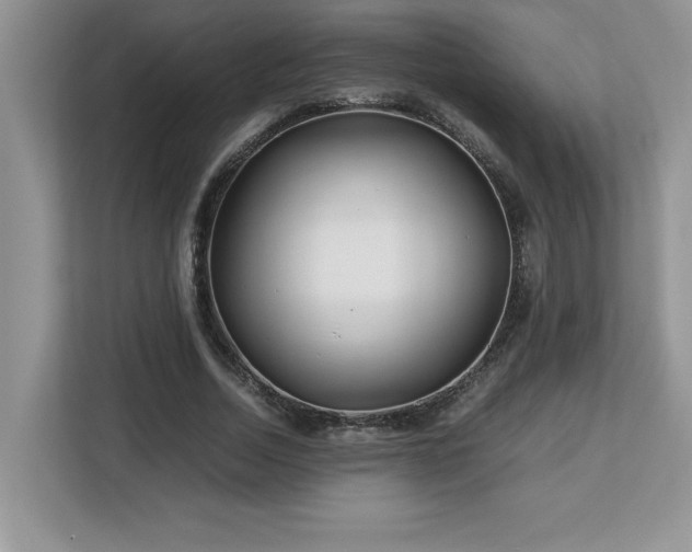X0000113090730200908281243