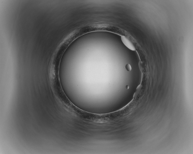 X0000113090731200908281243