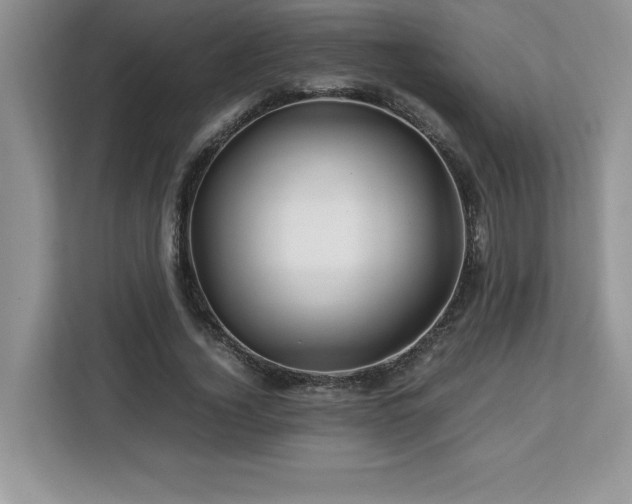 X0000113090732200908281243