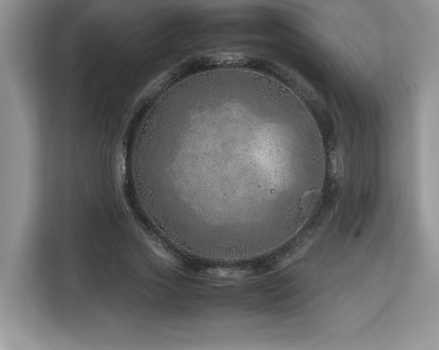 X0000113090733200908281243