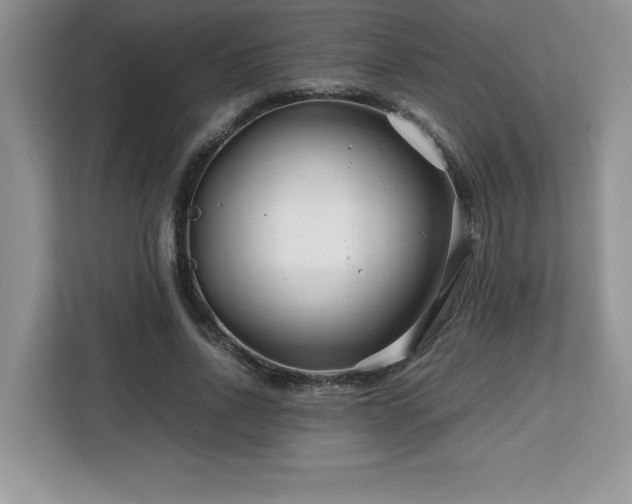 X0000113090734200908281243