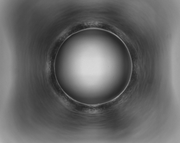 X0000113090735200908281243