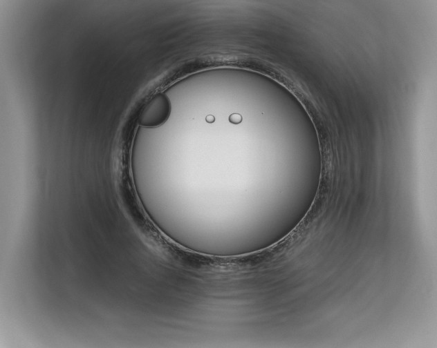 X0000113090736200908281243