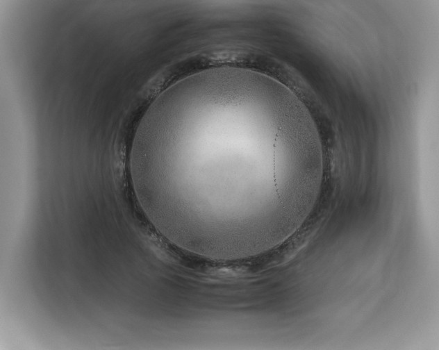 X0000113090737200908281243