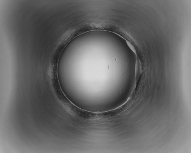 X0000113090738200908281243