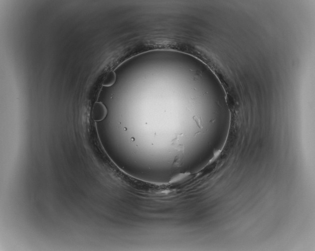 X0000113090739200908281243